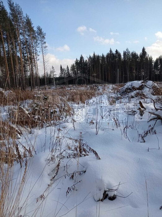 г. Ревда, ул. Облепиховая (городской округ Ревда) - фото земельного участка (4)