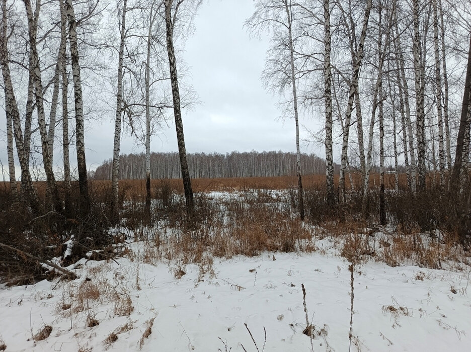 п. Прохладный (городской округ Белоярский) - фото земельного участка (1)