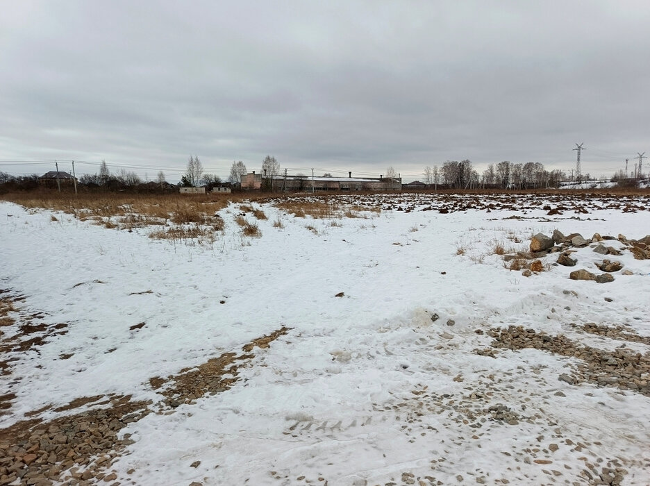 с. Косулино (городской округ Белоярский) - фото земельного участка (1)