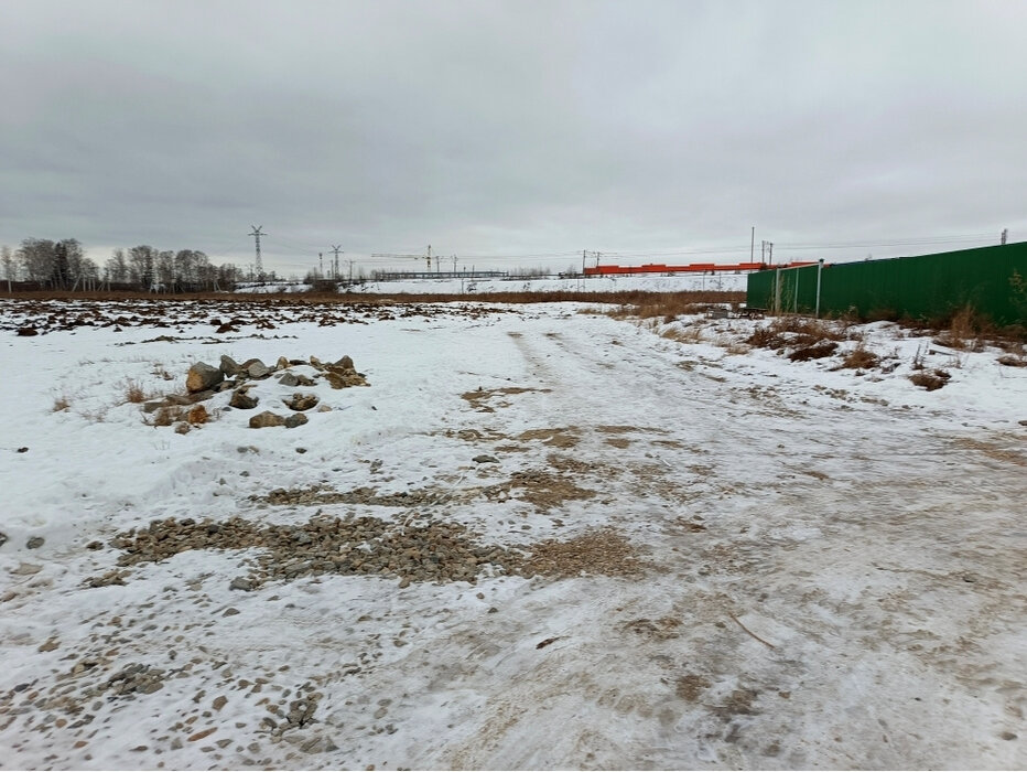 с. Косулино (городской округ Белоярский) - фото земельного участка (2)