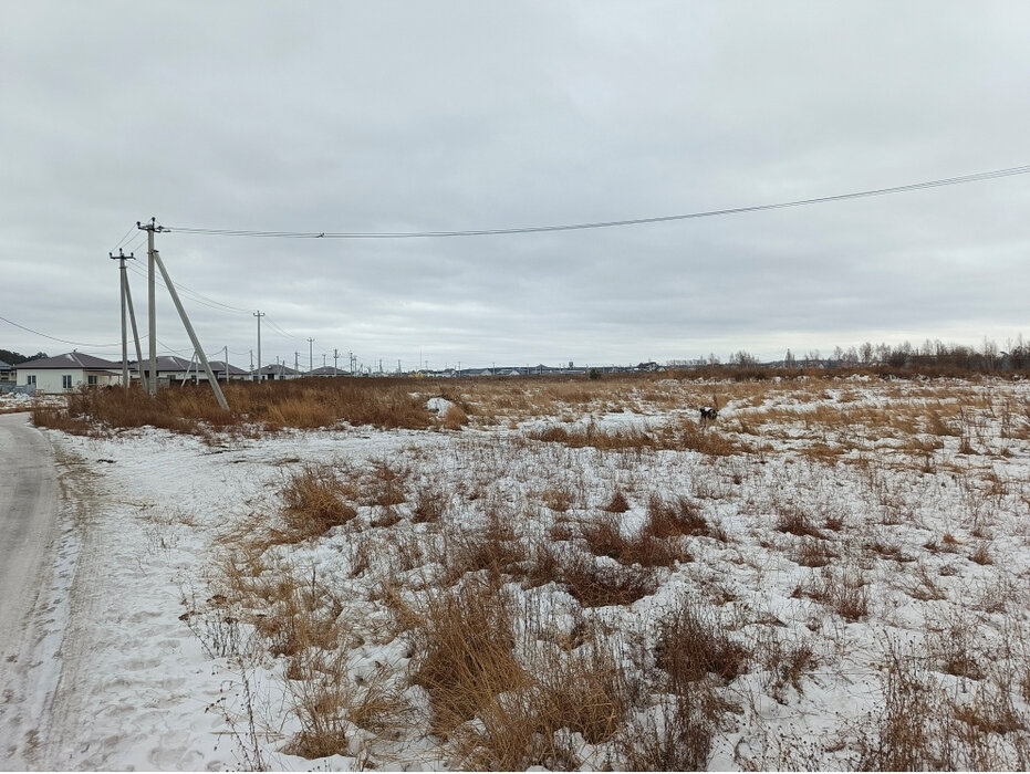 п. Прохладный (городской округ Белоярский) - фото земельного участка (2)