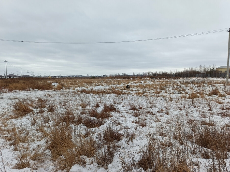 п. Прохладный (городской округ Белоярский) - фото земельного участка (3)