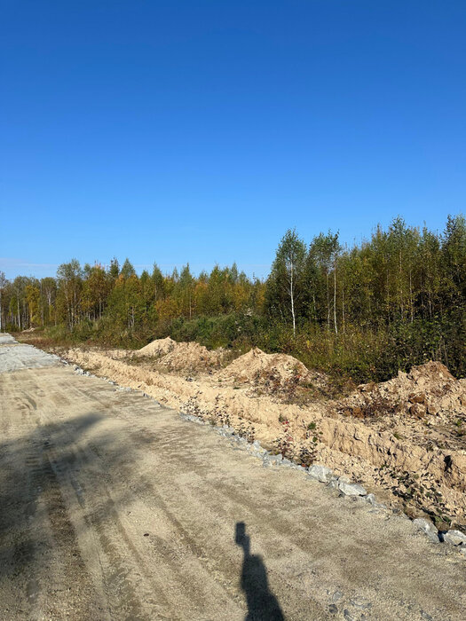 г. Березовский, № 127 Дачник (городской округ Березовский) - фото сада (1)