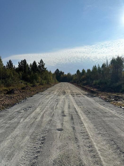 г. Березовский, № 127 Дачник (городской округ Березовский) - фото сада (3)