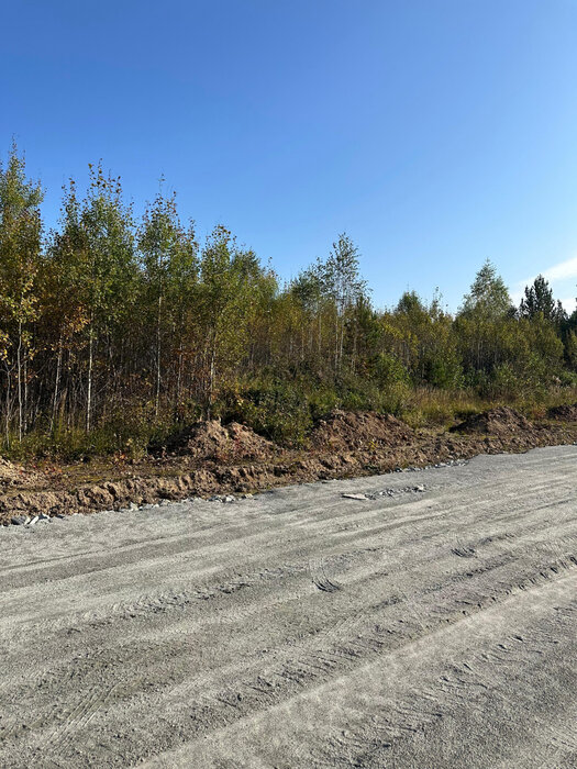 г. Березовский, № 127 Дачник (городской округ Березовский) - фото сада (5)