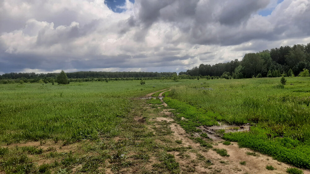 Екатеринбург, ул. Романтиков (Кольцово) - фото земельного участка (2)