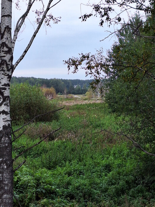 Екатеринбург, ул. Южноистокская (Исток) - фото земельного участка (1)