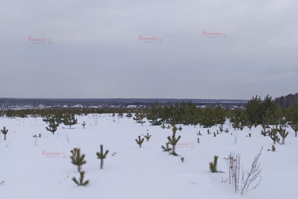 п. Становая, ул. Старателей (городской округ Березовский) - фото земельного участка (2)