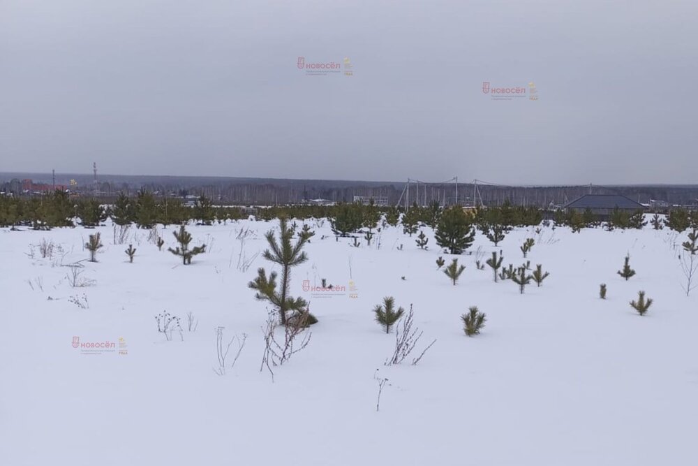 п. Становая, ул. Старателей (городской округ Березовский) - фото земельного участка (3)