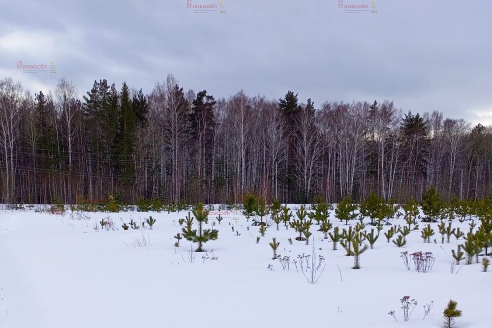 п. Становая, ул. Старателей (городской округ Березовский) - фото земельного участка (4)