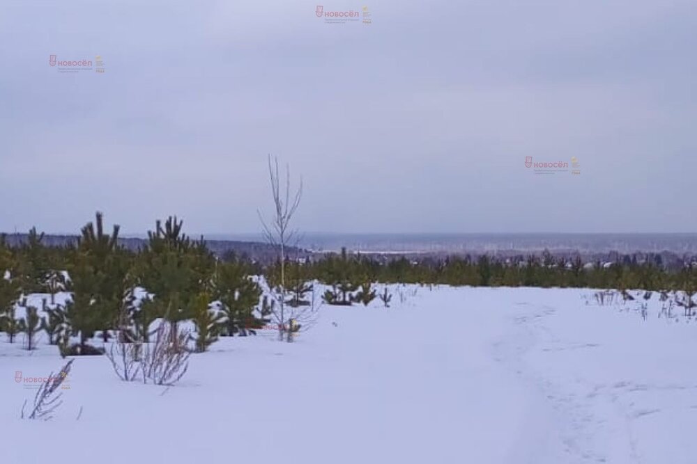 п. Становая, ул. Старателей (городской округ Березовский) - фото земельного участка (5)