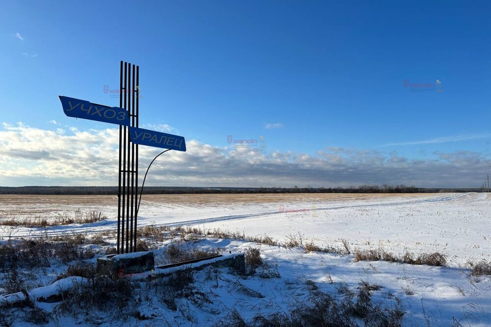 г. Заречный (городской округ Заречный) - фото земельного участка (2)