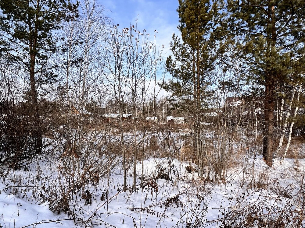 Екатеринбург, к/с Мечта (Чусовское озеро) - фото сада (4)