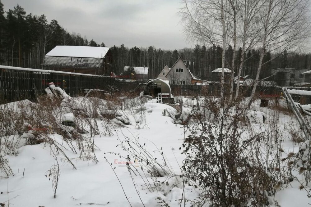 г. Березовский, СПО Черемшанка участок №80 (городской округ Березовский) - фото сада (2)