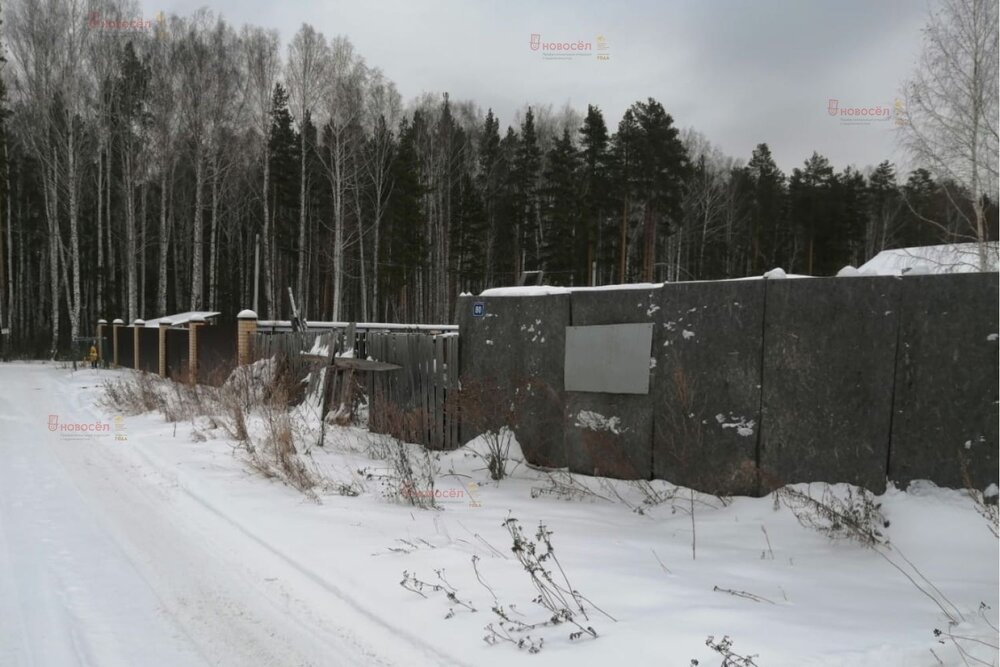 г. Березовский, СПО Черемшанка участок №80 (городской округ Березовский) - фото сада (3)