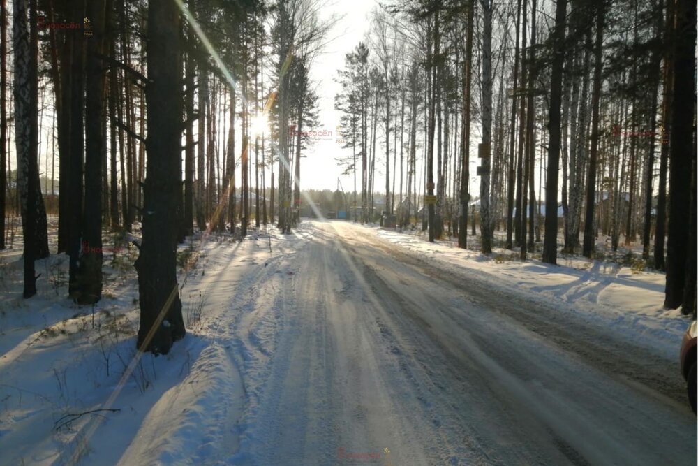 г. Березовский, СПО Черемшанка участок №80 (городской округ Березовский) - фото сада (4)