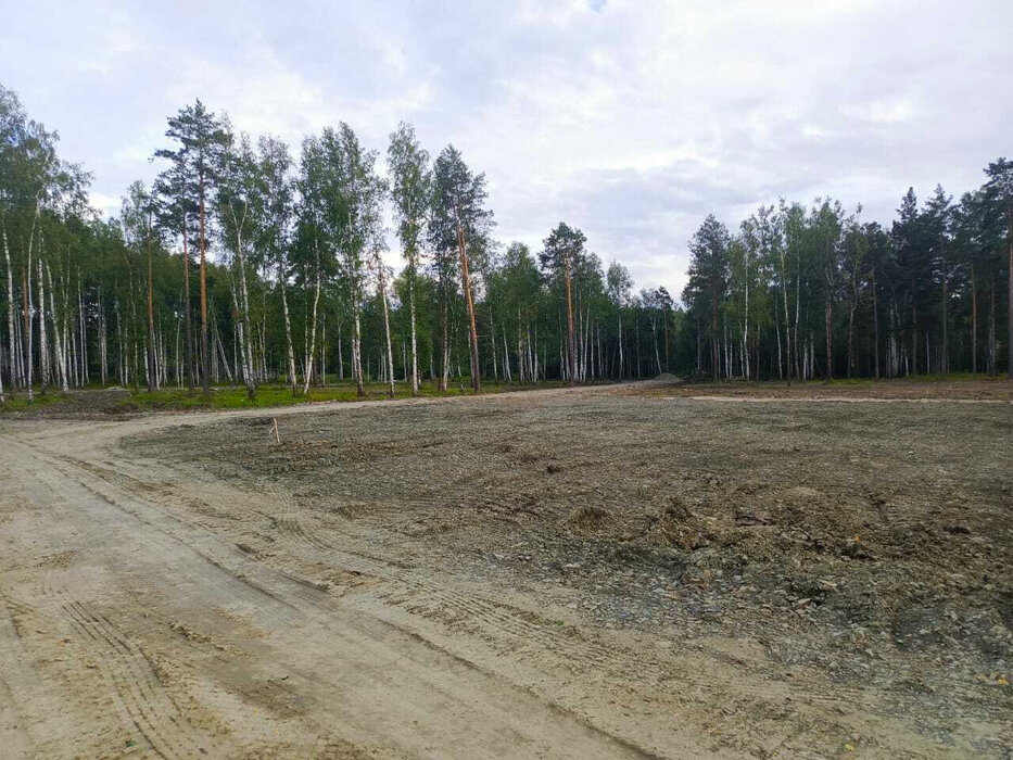 г. Верхняя Пышма, рядом с СНТ Звёздочка (городской округ Верхняя Пышма) - фото сада (8)