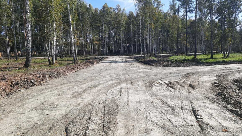 с. Балтым, район СНТ Звездочка (городской округ Верхняя Пышма) - фото сада (4)