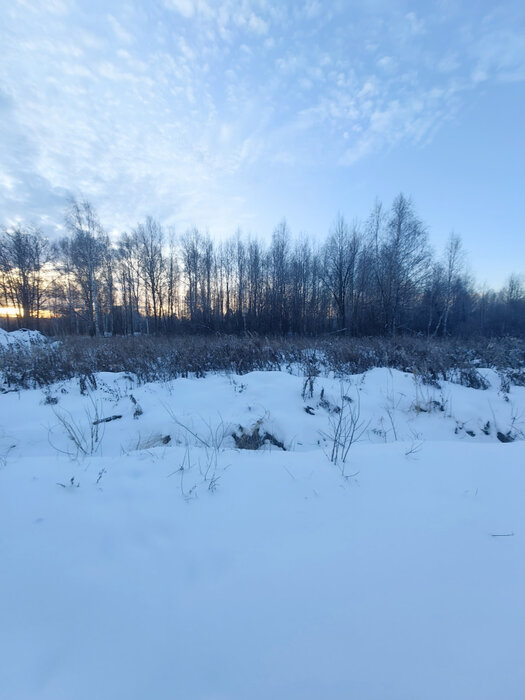 п. Залесье, ул. Новое Залесье (городской округ Верхняя Пышма) - фото земельного участка (5)