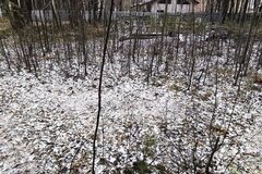 ГО Верхняя Пышма, ул. юго-восточное побережье оз.Шитовское - фото земельного участка