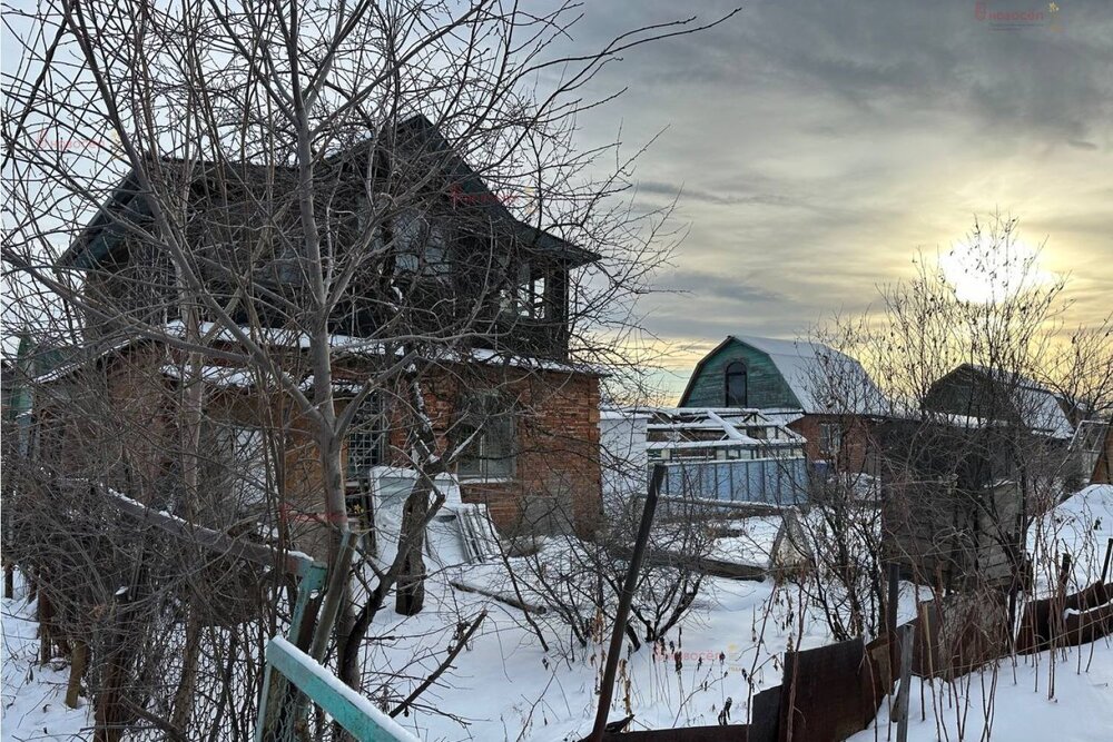 Екатеринбург, СНТ Дружба-10, ул. Черняховского (Химмаш) - фото сада (3)