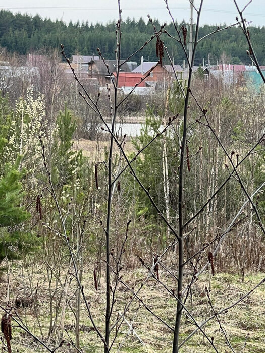 г. Ревда, ул. Российская,   (городской округ Ревда) - фото земельного участка (3)