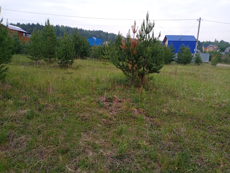 к.п. Зелёные Просторы (городской округ Екатеринбург) - фото земельного участка (1)