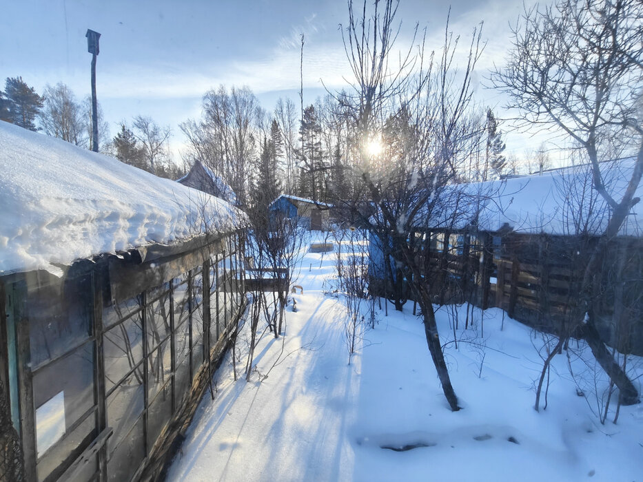 пгт. Верхнее Дуброво, р-н Белоярский, снт Озерный (городской округ Верхнее Дуброво) - фото сада (2)