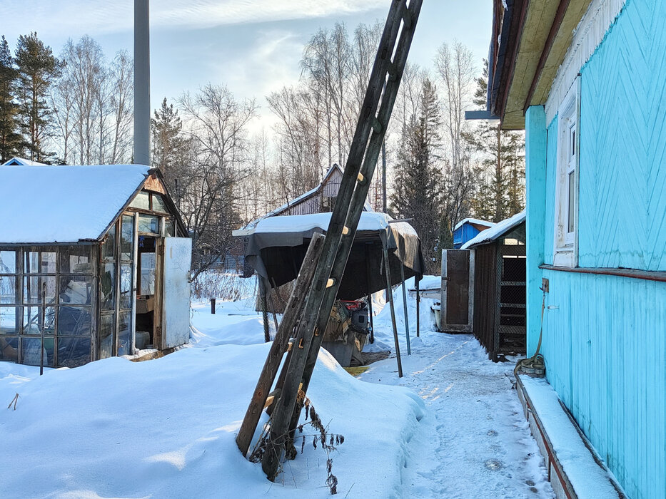 пгт. Верхнее Дуброво, р-н Белоярский, снт Озерный (городской округ Верхнее Дуброво) - фото сада (8)