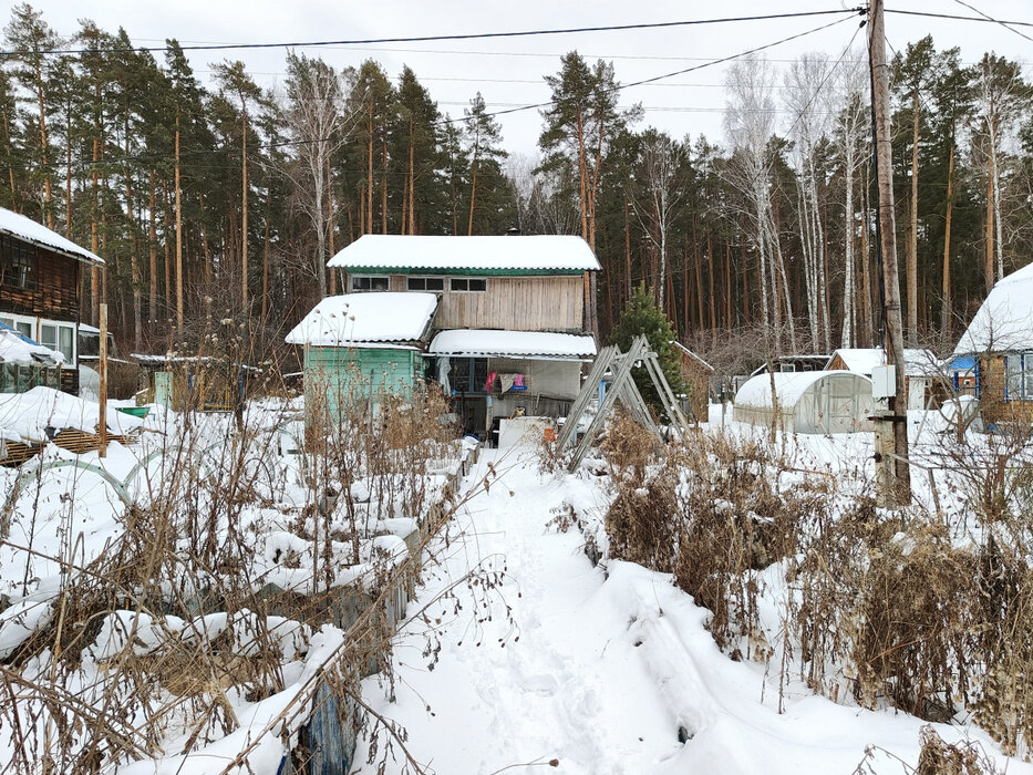 Екатеринбург, снт Луч-3 (Технопарк) - фото сада (2)