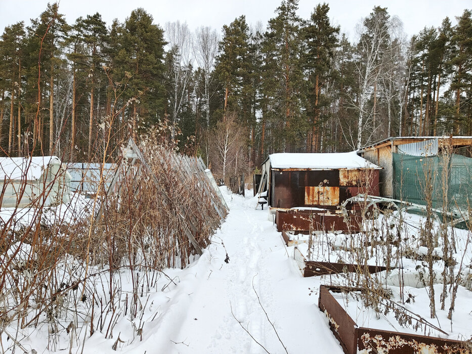 Екатеринбург, снт Луч-3 (Технопарк) - фото сада (3)