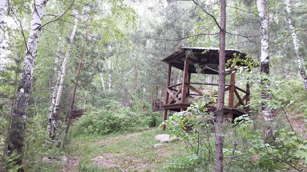 г. Дегтярск, ул. Кольцова (городской округ Город Дегтярск) - фото земельного участка (4)