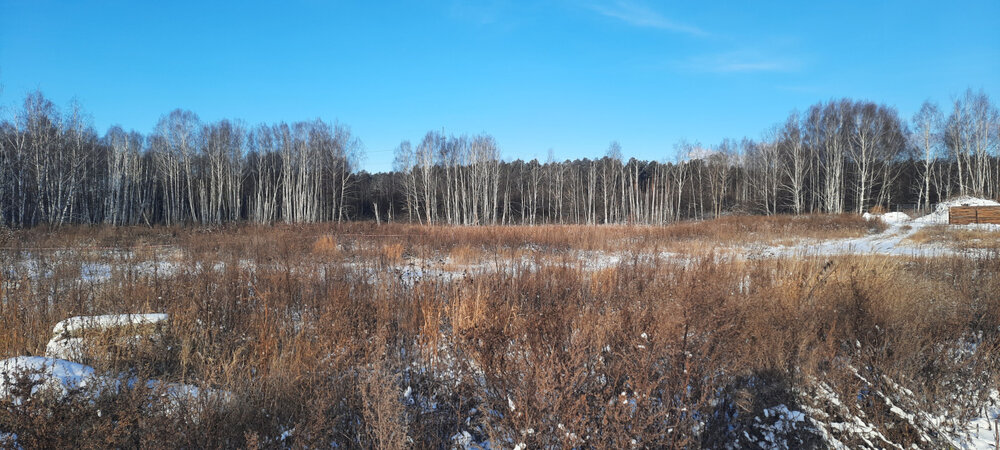 г. Верхняя Пышма, Снт Черемуки, уч. 5 (городской округ Верхняя Пышма) - фото сада (2)