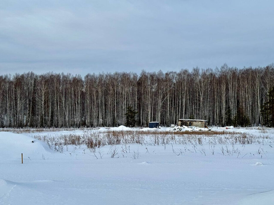 к.п. Семейные традиции (городской округ Первоуральск, п. Хрустальная) - фото земельного участка (1)