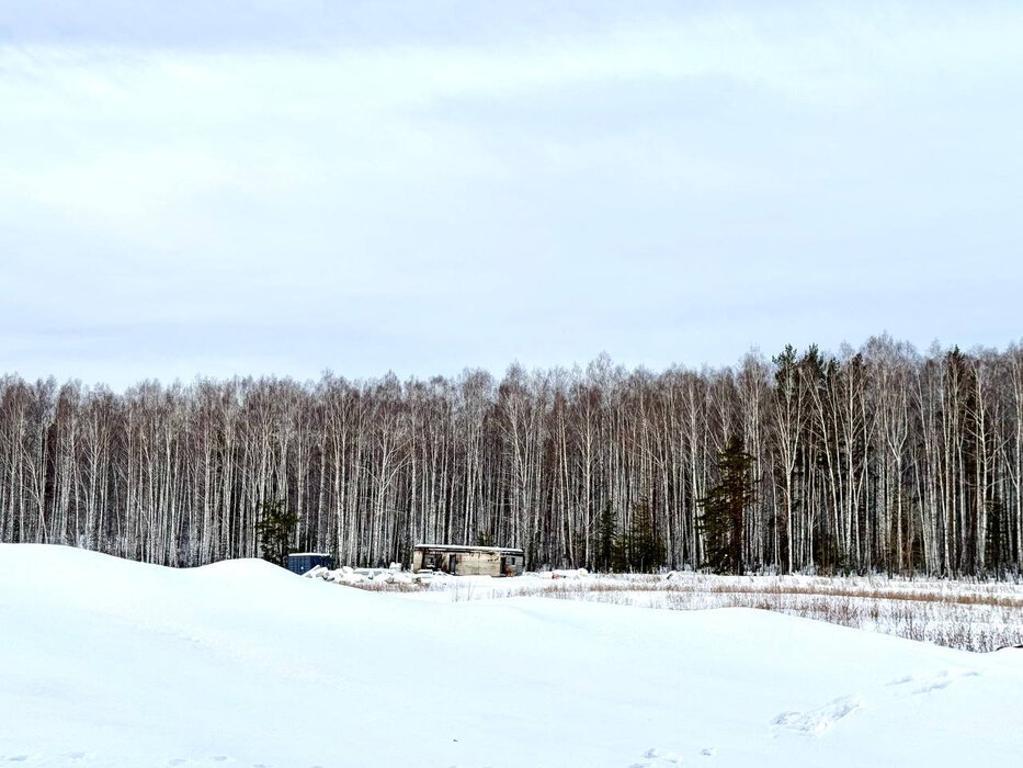 к.п. Семейные традиции (городской округ Первоуральск, п. Хрустальная) - фото земельного участка (6)