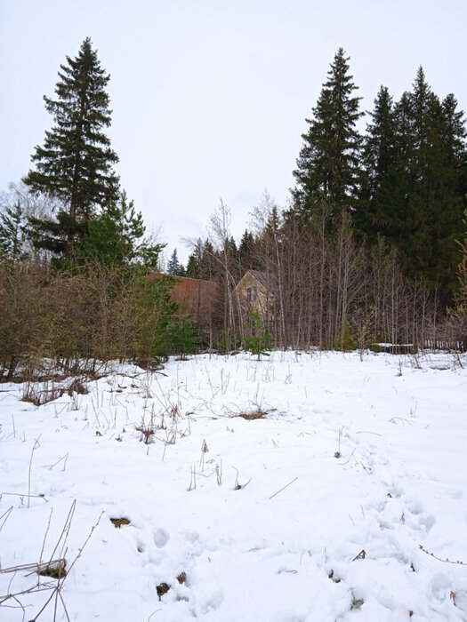 г. Ревда, ул. Володарского, 119 (городской округ Ревда) - фото земельного участка (7)