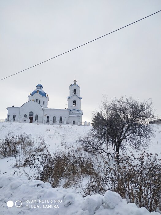 Челябинская область, Каслинский район, село Булзи, ул. 8  марта, 7 (Челябинская область) - фото земельного участка (1)