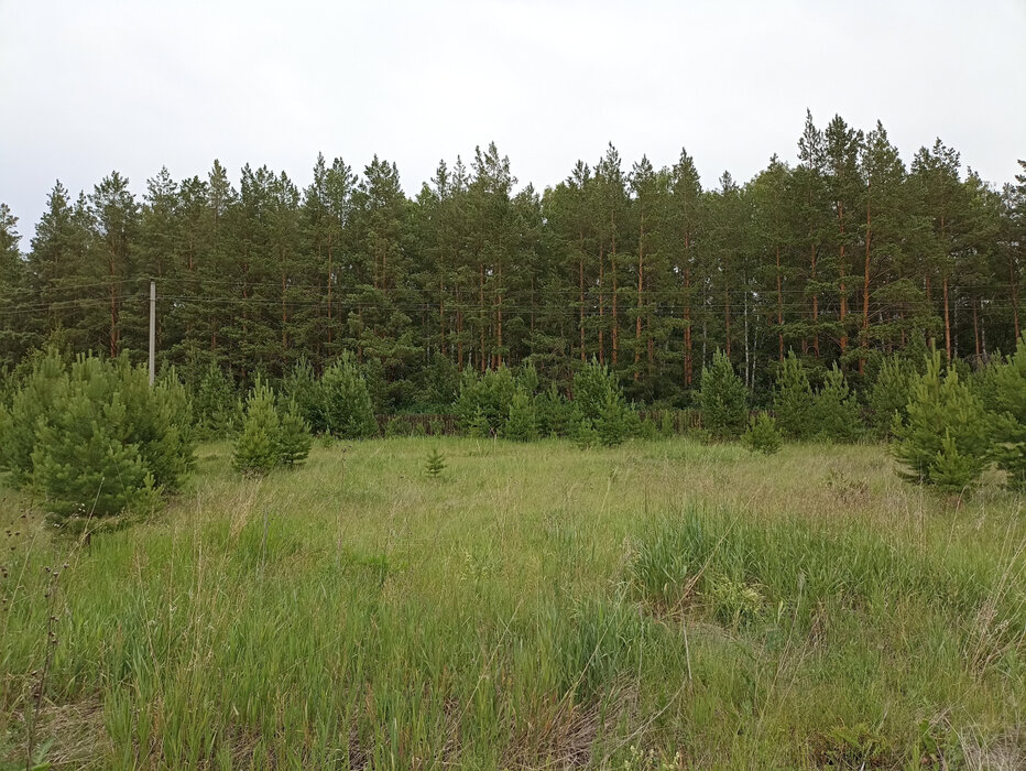 к.п. Ясная горка (городской округ Белоярский) - фото земельного участка (8)