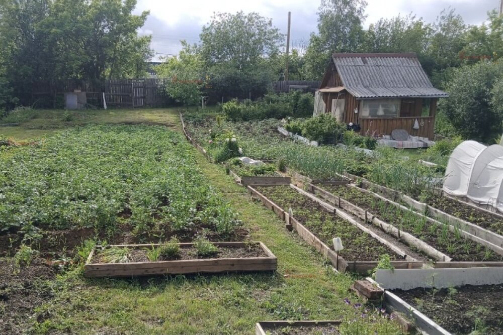 г. Березовский, коллективный сад №5, уч.   (городской округ Березовский) - фото сада (1)