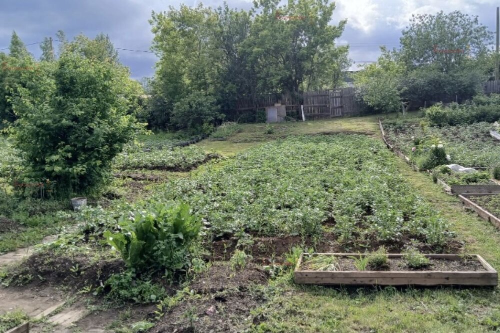 г. Березовский, коллективный сад №5, уч.   (городской округ Березовский) - фото сада (6)