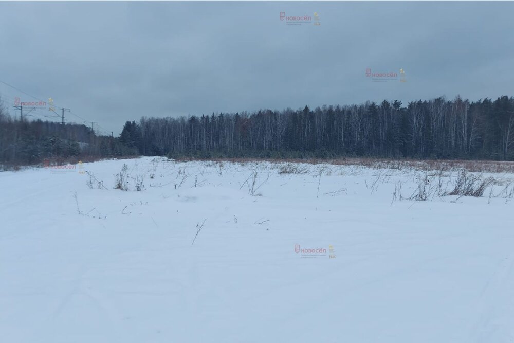 к.п. Добрый город, ул. Европейская (городской округ Полевской, с. Курганово) - фото земельного участка (4)