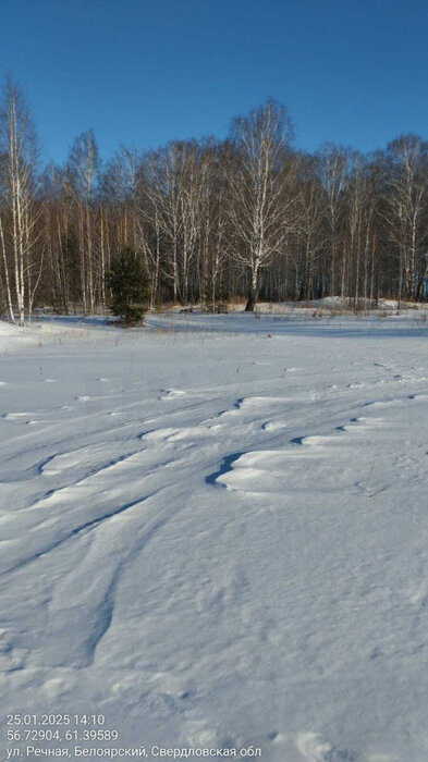 поселок городского типа Белоярский, ул. Чапаева, 147а (городской округ Белоярский) - фото земельного участка (3)