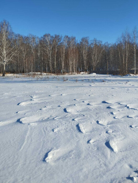 поселок городского типа Белоярский, ул. Чапаева, 147а (городской округ Белоярский) - фото земельного участка (4)