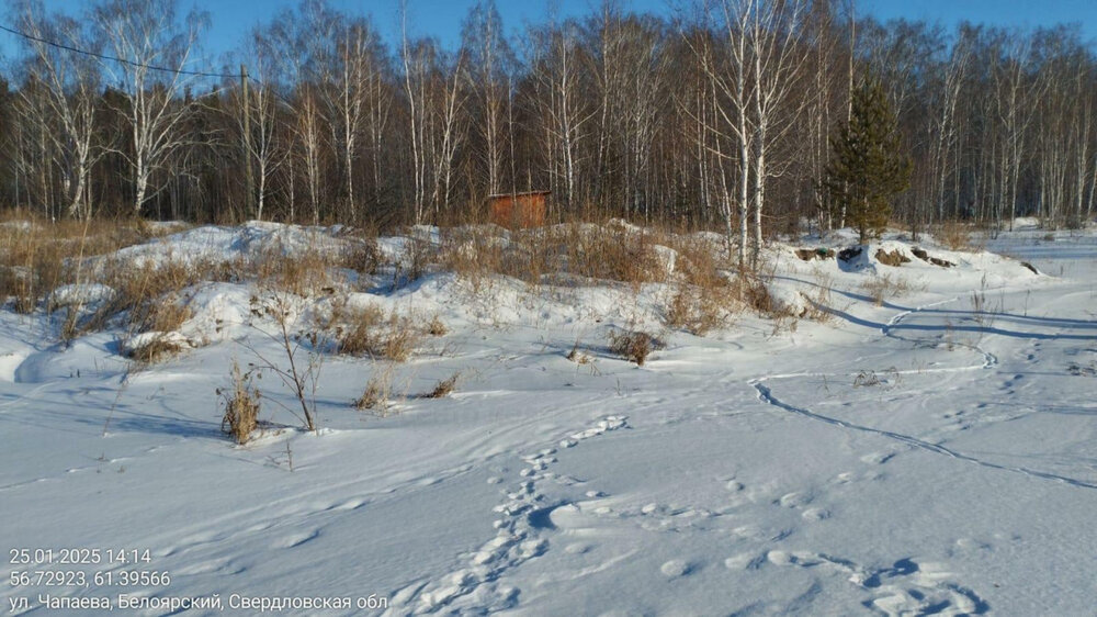 поселок городского типа Белоярский, ул. Чапаева, 147а (городской округ Белоярский) - фото земельного участка (5)