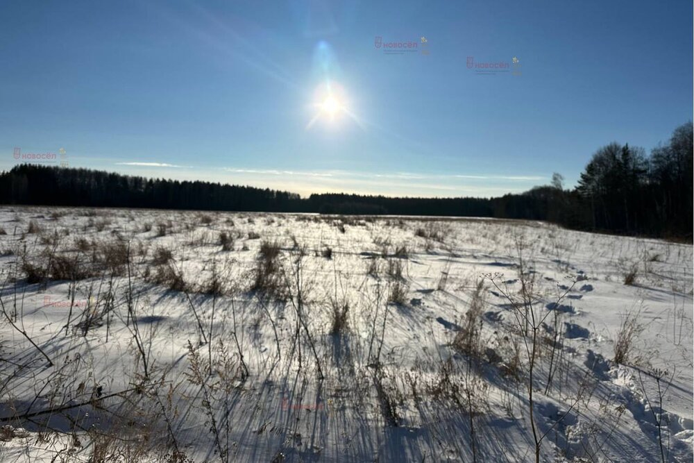 с. Курганово, ул. Нагорная (городской округ Полевской) - фото земельного участка (4)