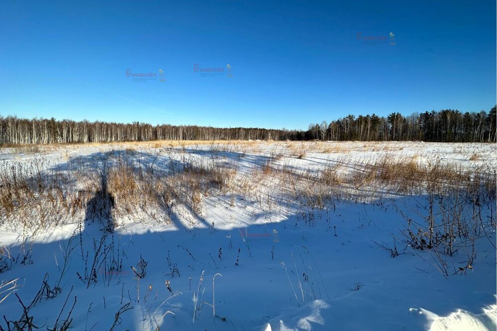 с. Курганово, ул. Нагорная (городской округ Полевской) - фото земельного участка (5)