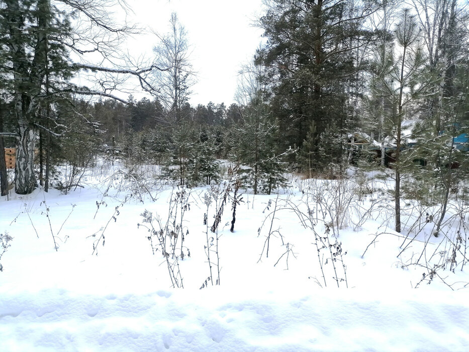 с. Кунгурка, ул. Колхозная, 15 (городской округ Ревда) - фото земельного участка (1)