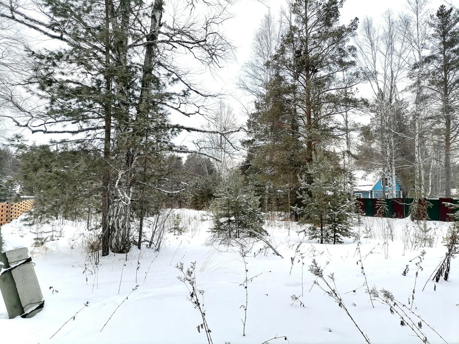 с. Кунгурка, ул. Колхозная, 15 (городской округ Ревда) - фото земельного участка (4)