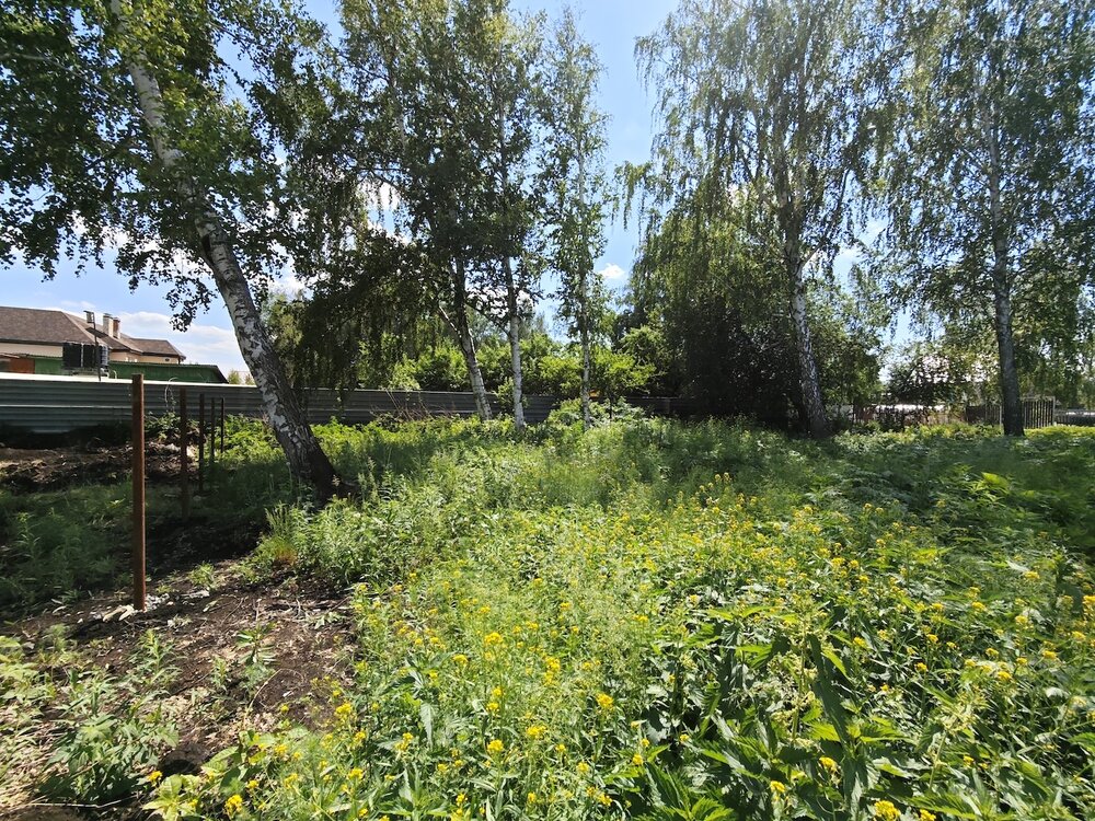 п. Большой Исток, ул. Луговая, 6 (городской округ Сысертский) - фото земельного участка (8)