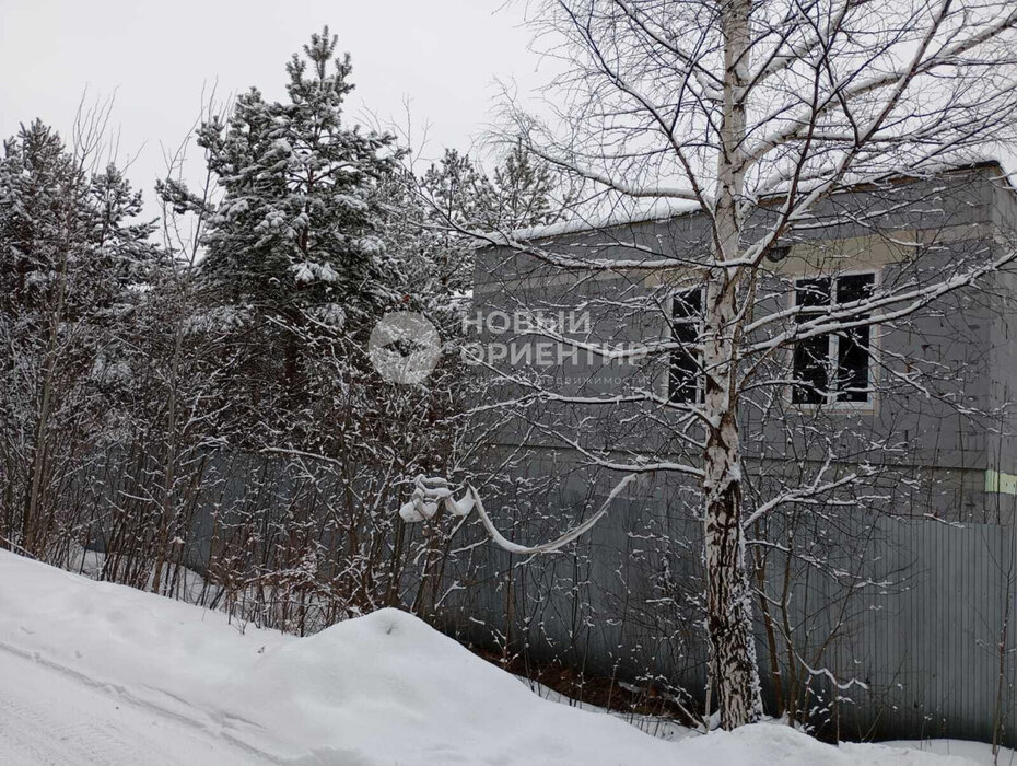 Екатеринбург, СНТ Медная Горка - фото сада (3)